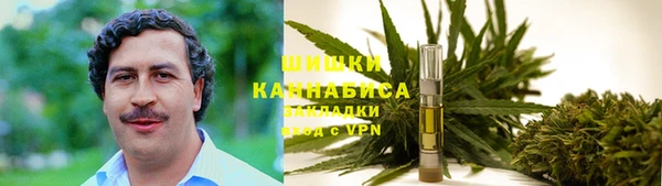 альфа пвп Горно-Алтайск