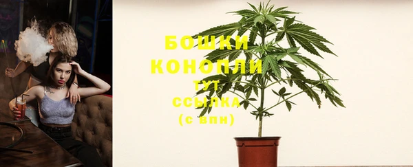 тгк Майский
