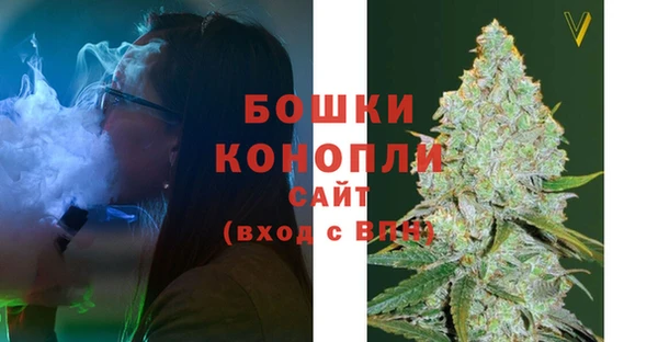 индика Магадан