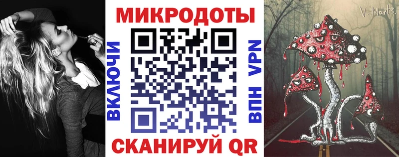 закладка  Жиздра  Псилоцибиновые грибы Psilocybine cubensis 